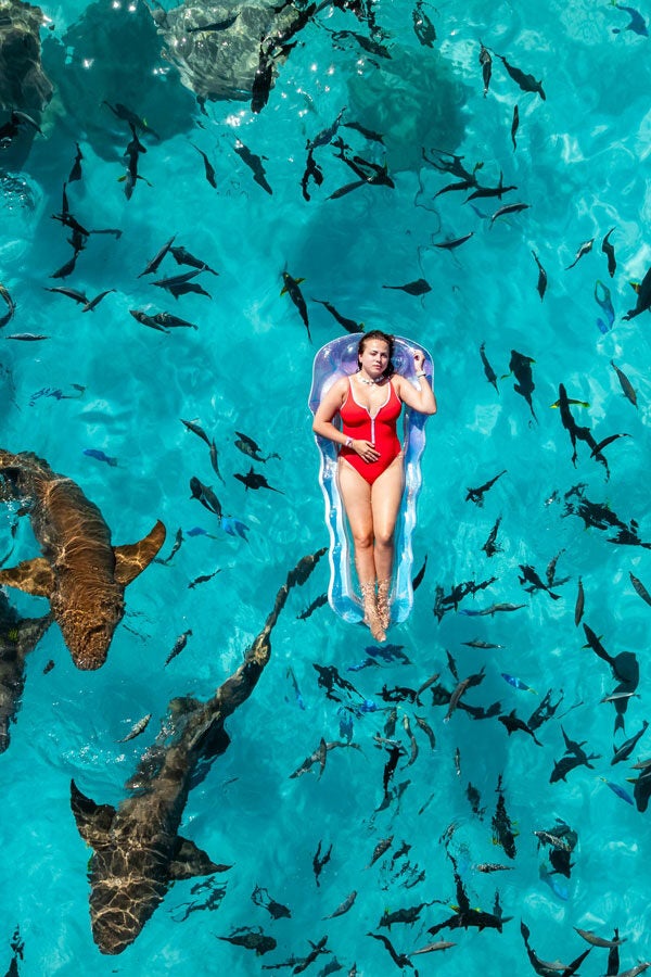 AAMaldives divider c 2