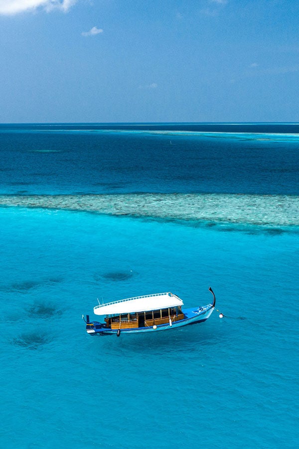 AAMaldives divider e 1