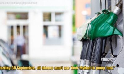 Dd FT 2025 10 03T015012.422