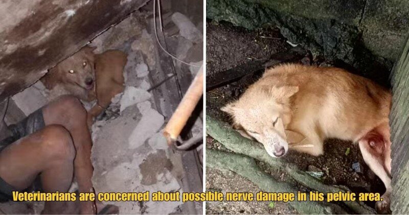 Dd FT 2025 10 07T113248.182