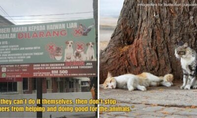 Dd FT 2025 10 09T132245.880