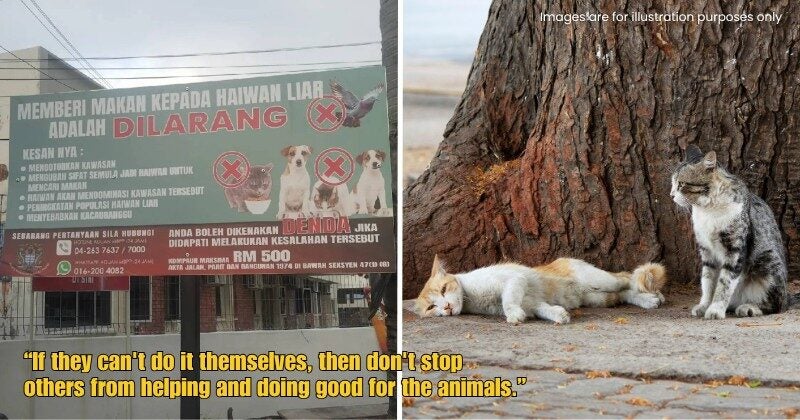 Dd FT 2025 10 09T132245.880