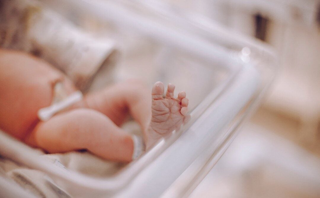 Didis Canva Do Not Touch 2025 10 27T150127.604