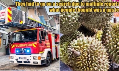 My Post 1 2025 10 06T104343.643