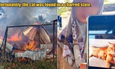 My Post 1 2025 10 14T124437.007