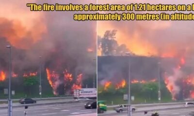 My Post 1 2025 10 15T085739.728