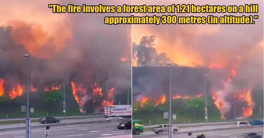 My Post 1 2025 10 15T085739.728