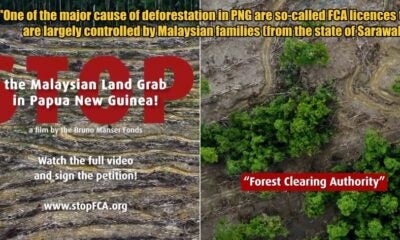 My Post 1 2025 10 23T114609.325