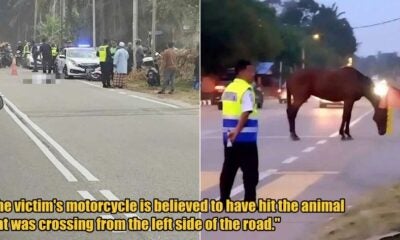 My Post 1 2025 10 28T143946.461