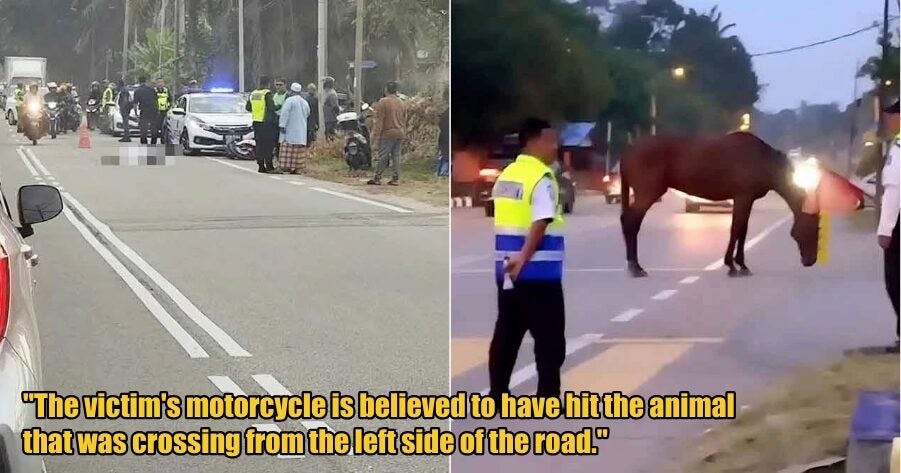 My Post 1 2025 10 28T143946.461