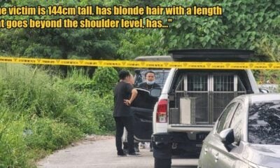 My Post 3 2025 10 30T131723.583 1