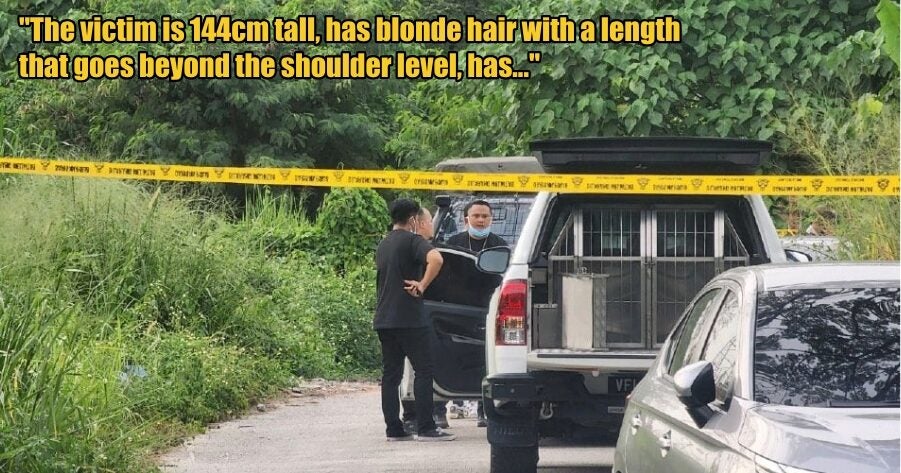 My Post 3 2025 10 30T131723.583 1