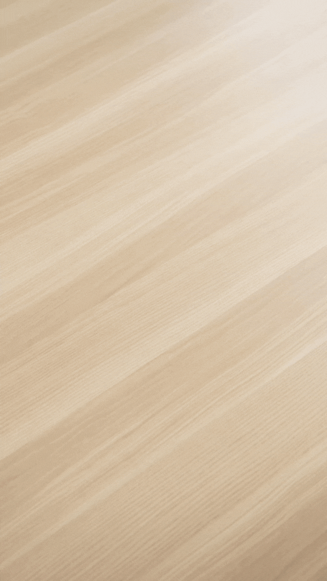 PanasonicChristmas 3 Blade