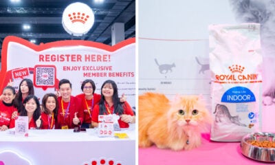 ROYAL CANIN FEATURE 1