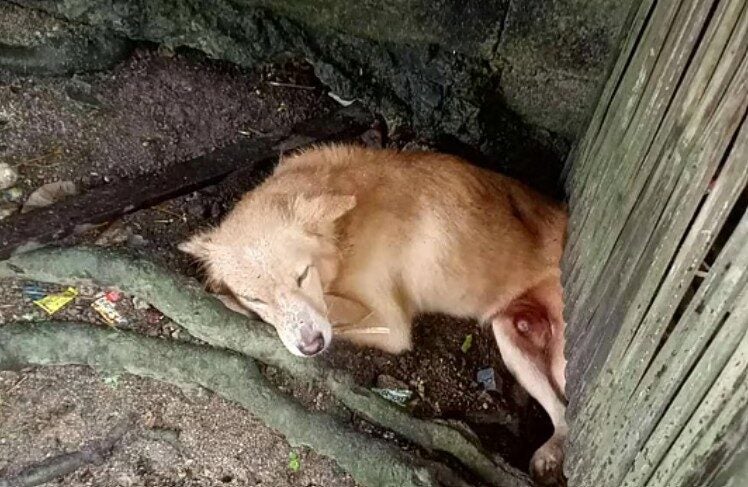 Screenshot 2025 10 07 112514