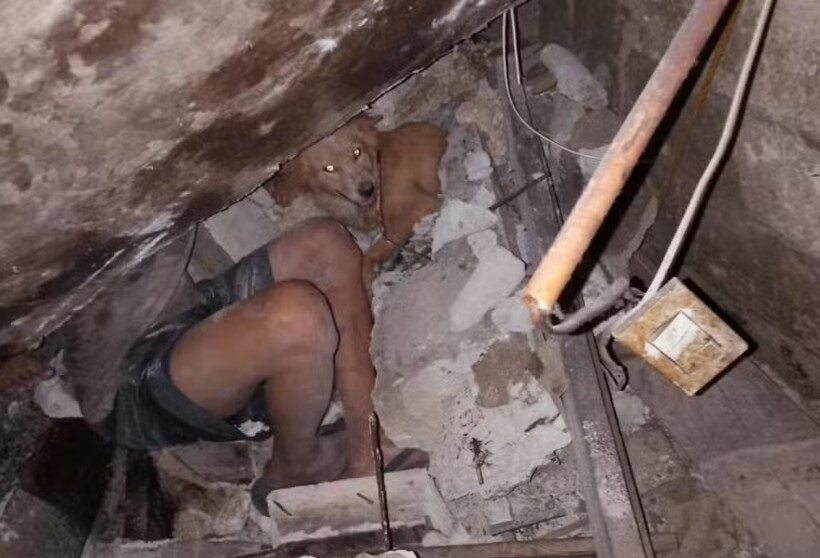 Screenshot 2025 10 07 112613