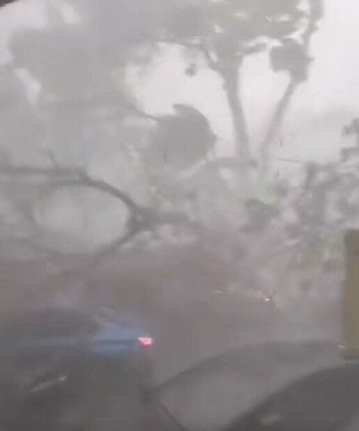 Screenshot 2025 10 12 125619