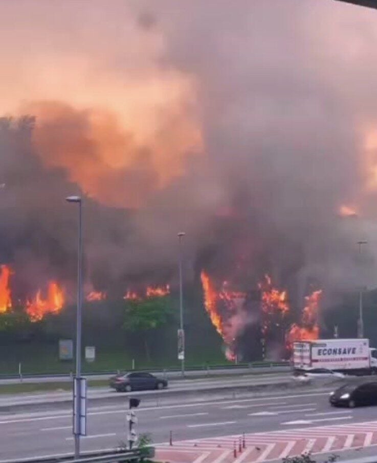 Screenshot 2025 10 15 at 8.50.16 AM e1760489506944