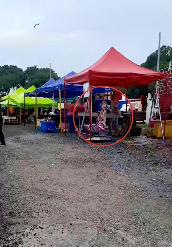 Screenshot 2025 10 16 at 12.24.07 PM