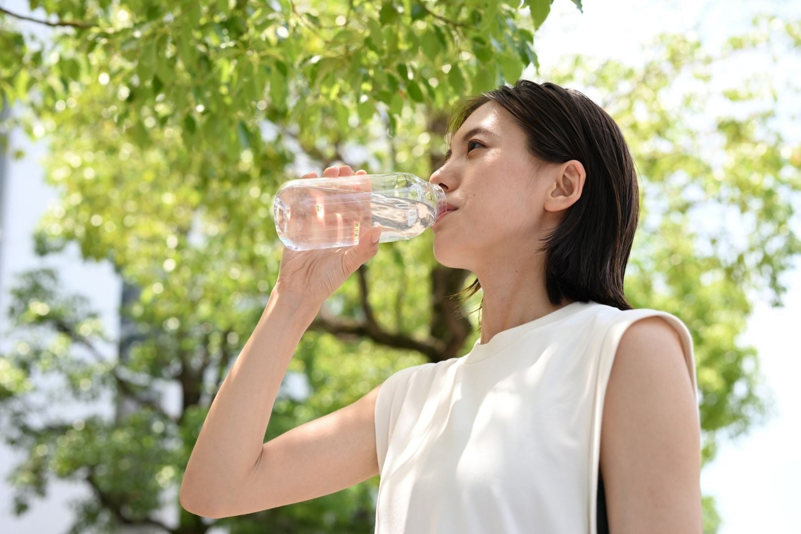 SpritzerSILIQA Drinking trees