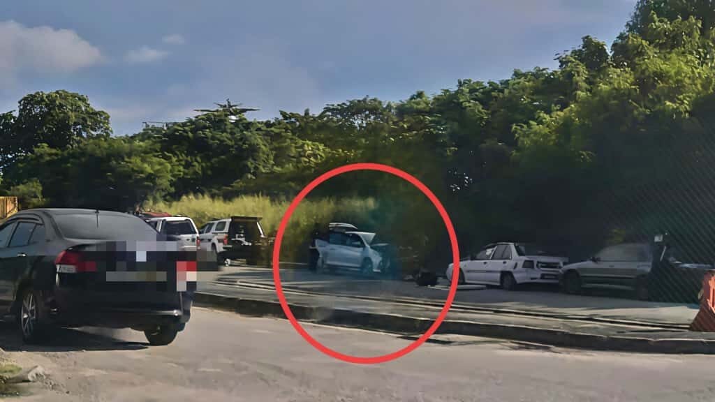 d99574cf a86a 40cf 8471 94a6550224e0