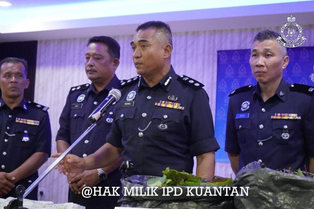 565147267 1256591879841786 3122221251065739840 n