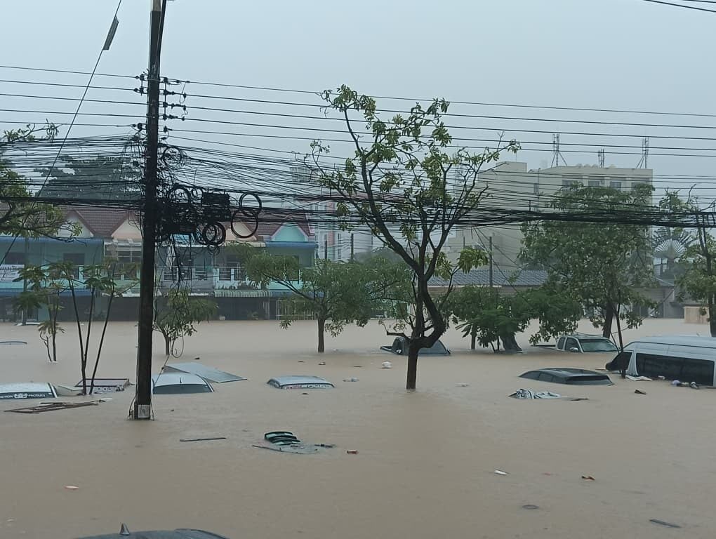 589337588 1297525379077961 5027029767709474286 n