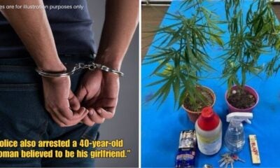 Dd FT 2025 11 07T122225.512