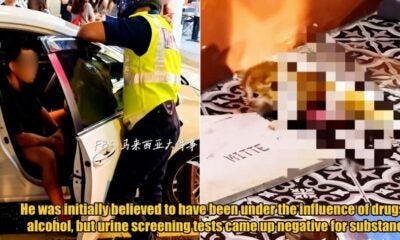 My Post 1 2025 11 03T110204.648