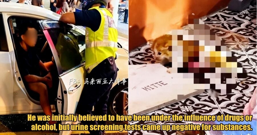 My Post 1 2025 11 03T110204.648