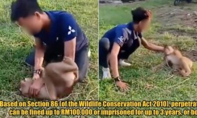 My Post 1 2025 11 14T144949.171