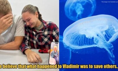 My Post 1 2025 11 20T110030.106