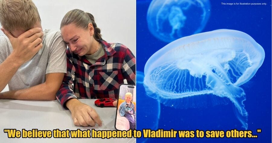 My Post 1 2025 11 20T110030.106