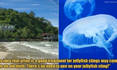 My Post 1 2025 11 21T145532.844 1