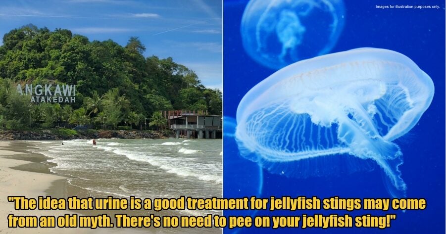 My Post 1 2025 11 21T145532.844 1