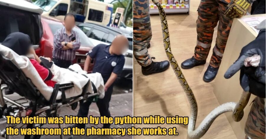 My Post 1 2025 11 24T112721.557 1