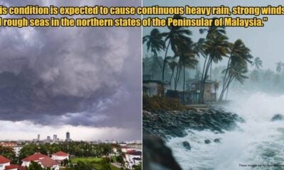 My Post 1 2025 11 26T140530.041