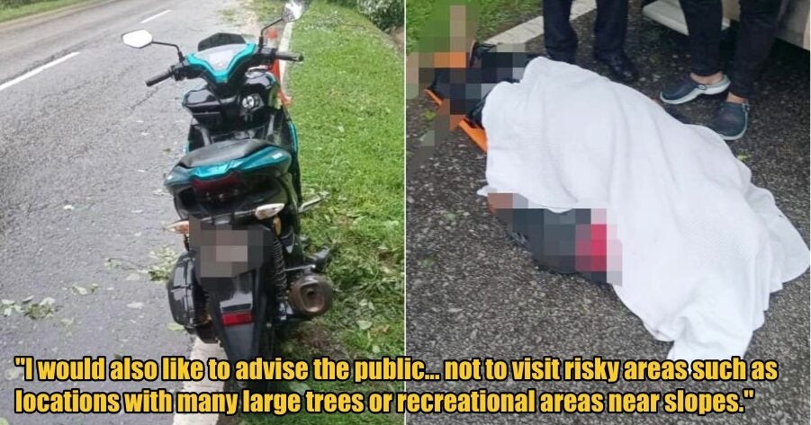 My Post 1 2025 11 28T151259.046