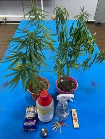 Screenshot 2025 11 07 121702