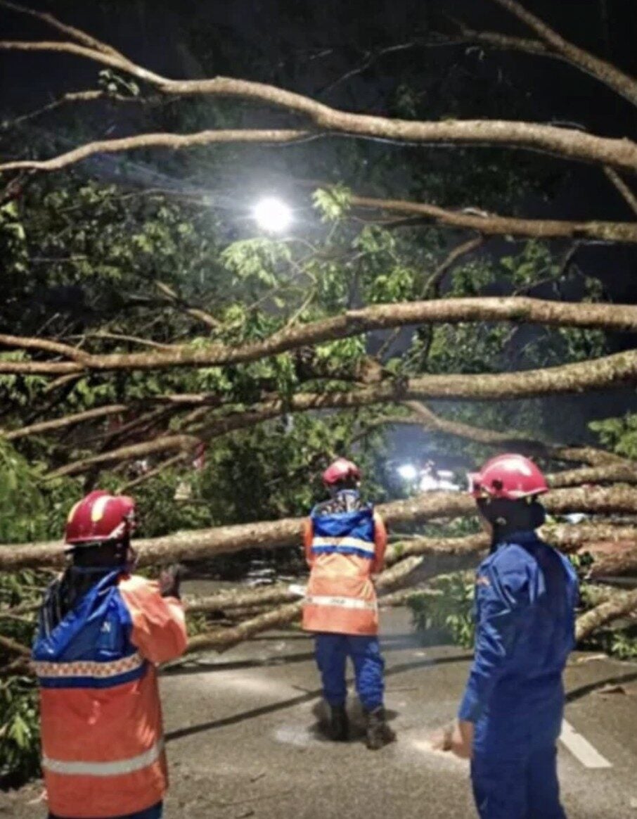 Screenshot 2025 11 08 at 3.17.20 PM