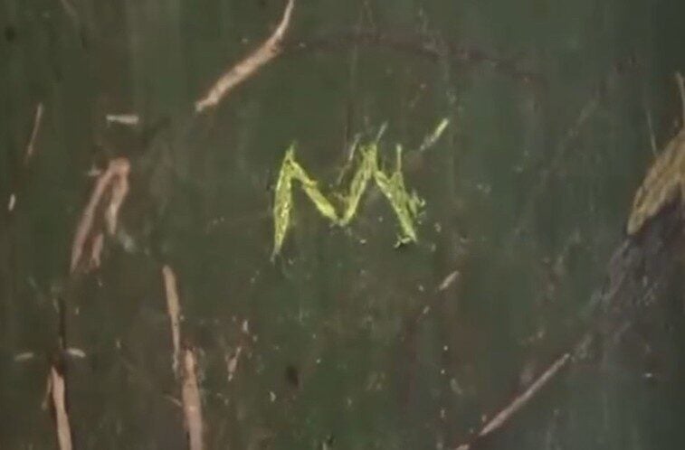 Screenshot 2025 11 11 135053