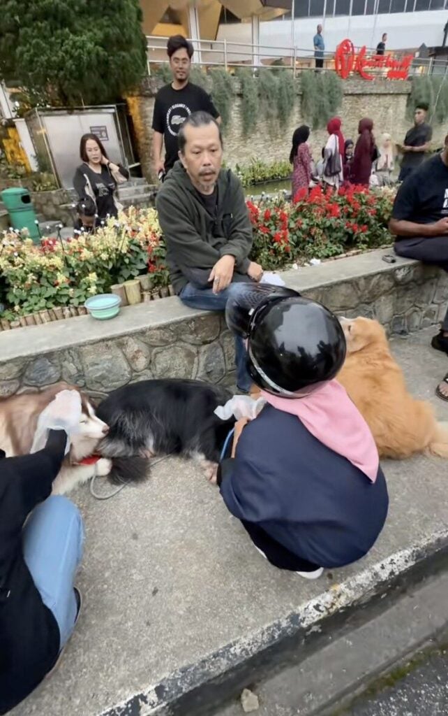 Screenshot 2025 11 12 at 10.23.29 AM