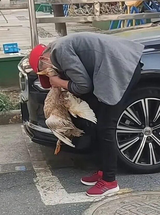 Screenshot 2025 11 13 100958