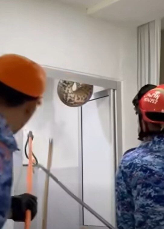 Screenshot 2025 11 17 111525