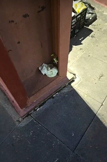 Screenshot 2025 11 27 121221