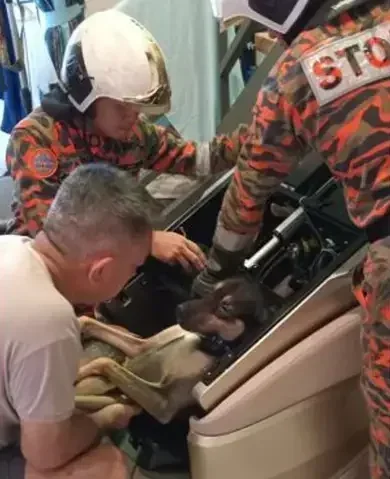 massage2 e1763827016340