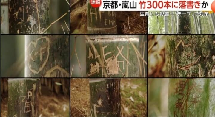 threadsdownloader.com 3898ee