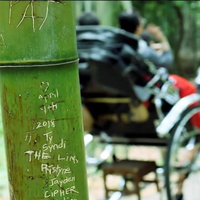 threadsdownloader.com 581001