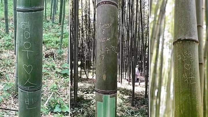 threadsdownloader.com c532ab