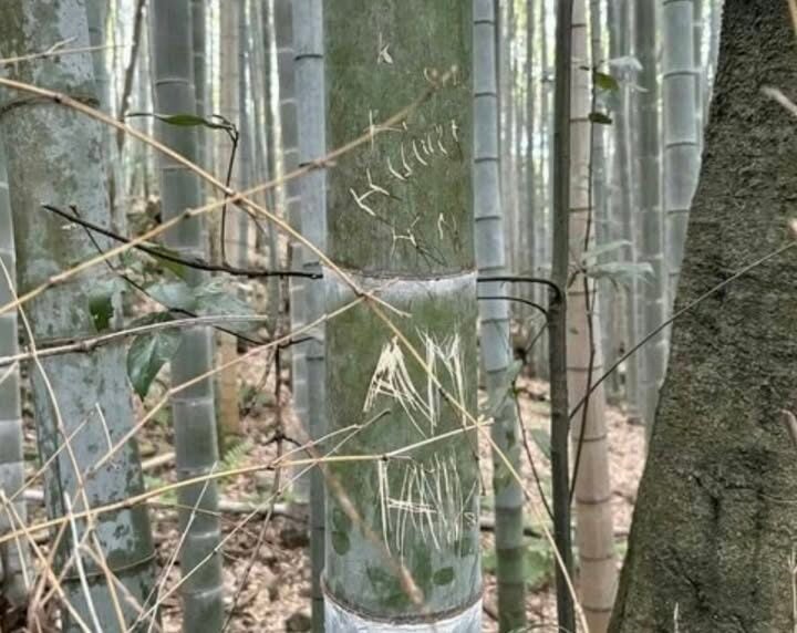 threadsdownloader.com d21df6